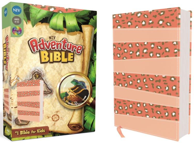 Adventure Bible