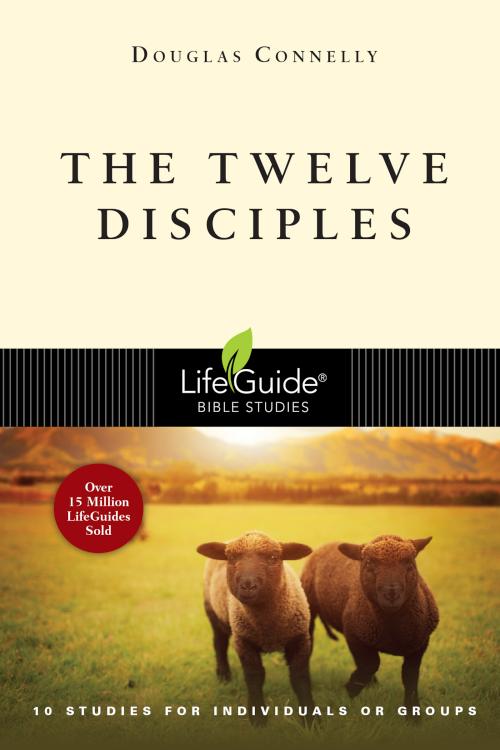 12 Disciples : 10 Studies For Individuals Or Groups (Student/Study Guide)