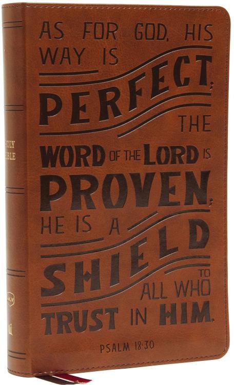 Personal Size Reference Bible Verse Art Cover Collection Comfort Print