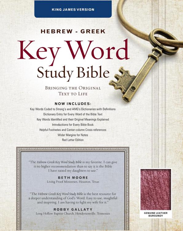 Hebrew Greek Key Word Study Bible 2008 New Edition