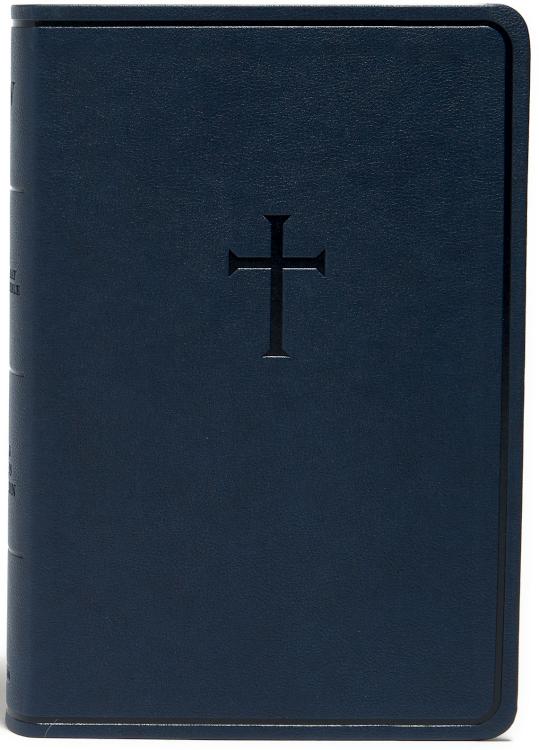 Everyday Study Bible