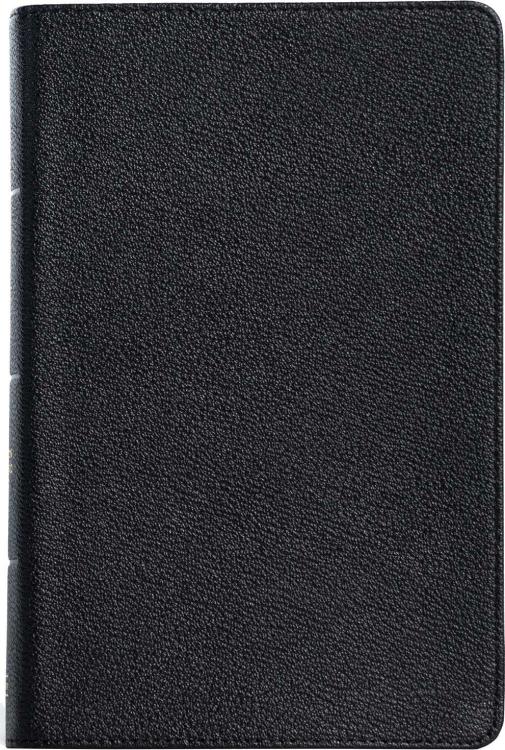 Large Print Personal Size Reference Bible