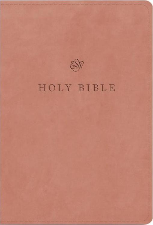 Large Print Compact Bible