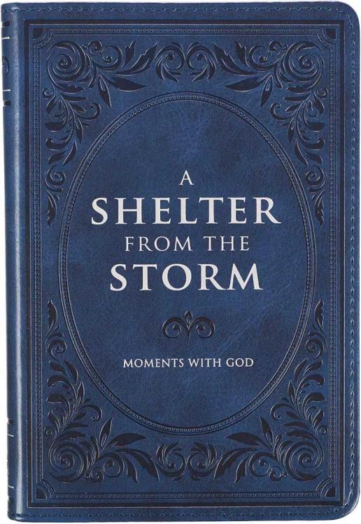 Shelter From The Storm