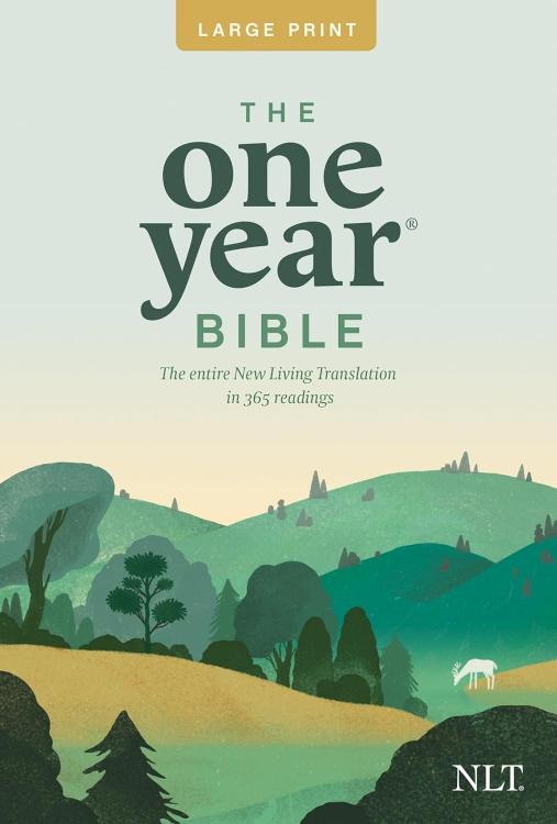 1 Year Bible Premium Slimline Large Print